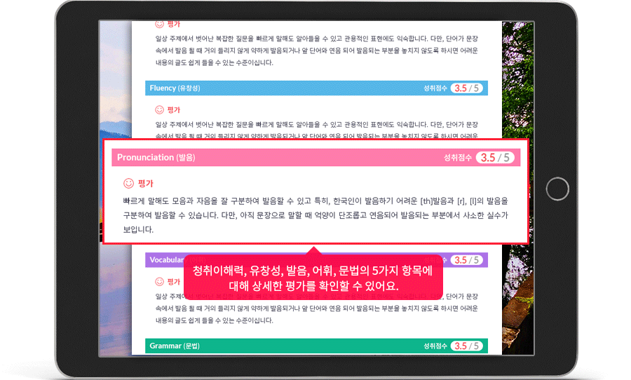 청취이해력, 유창성, 발음, 어휘, 문법의 5가지 항목에 대해 상세한 평가를 확인할 수 있어요.